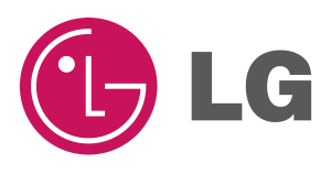 LG Logo 300x158 - LG-Logo